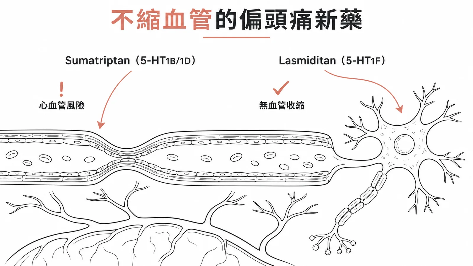Lasmiditan 為 5-HT1F 受體致效劑,作用於神經而不收縮血管,無 triptan 類(5-HT1B/1D)的血管收縮與心血管風險,用於偏頭痛