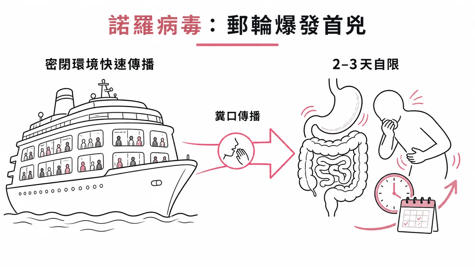 諾羅病毒郵輪群聚爆發:密閉環境糞口傳播,2-3天自限性腸胃炎