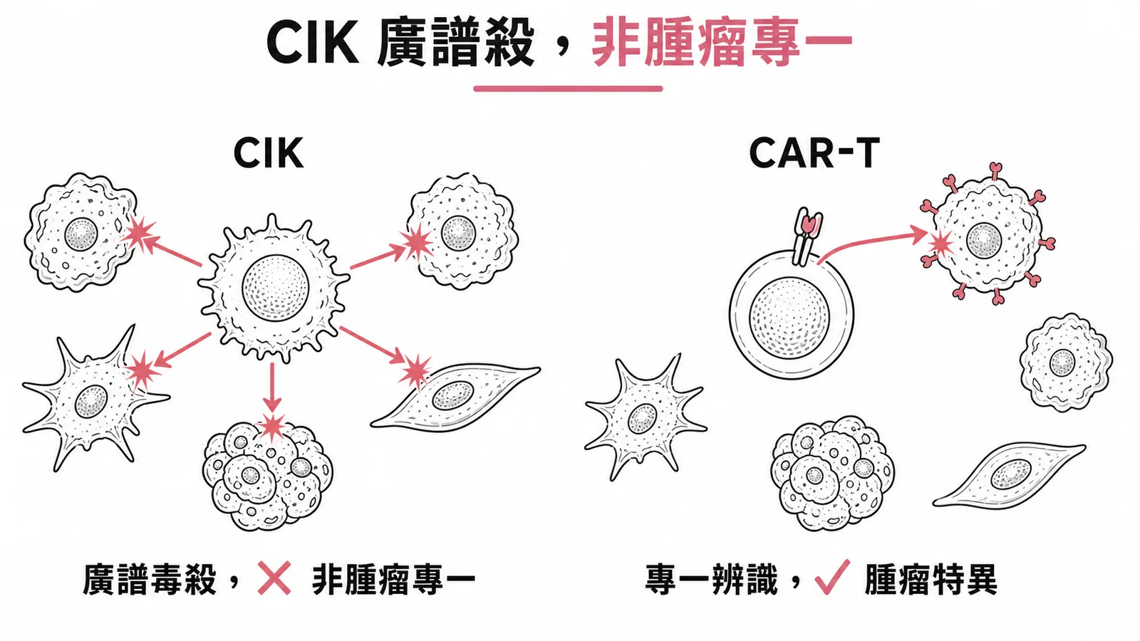 CIK 廣譜毒殺與 CAR-T 腫瘤特異性對照示意圖