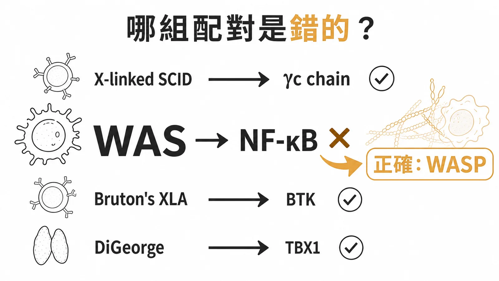 四種先天性免疫缺失疾病與缺陷基因配對,WAS 的正確基因是 WASP 而非 NF-κB