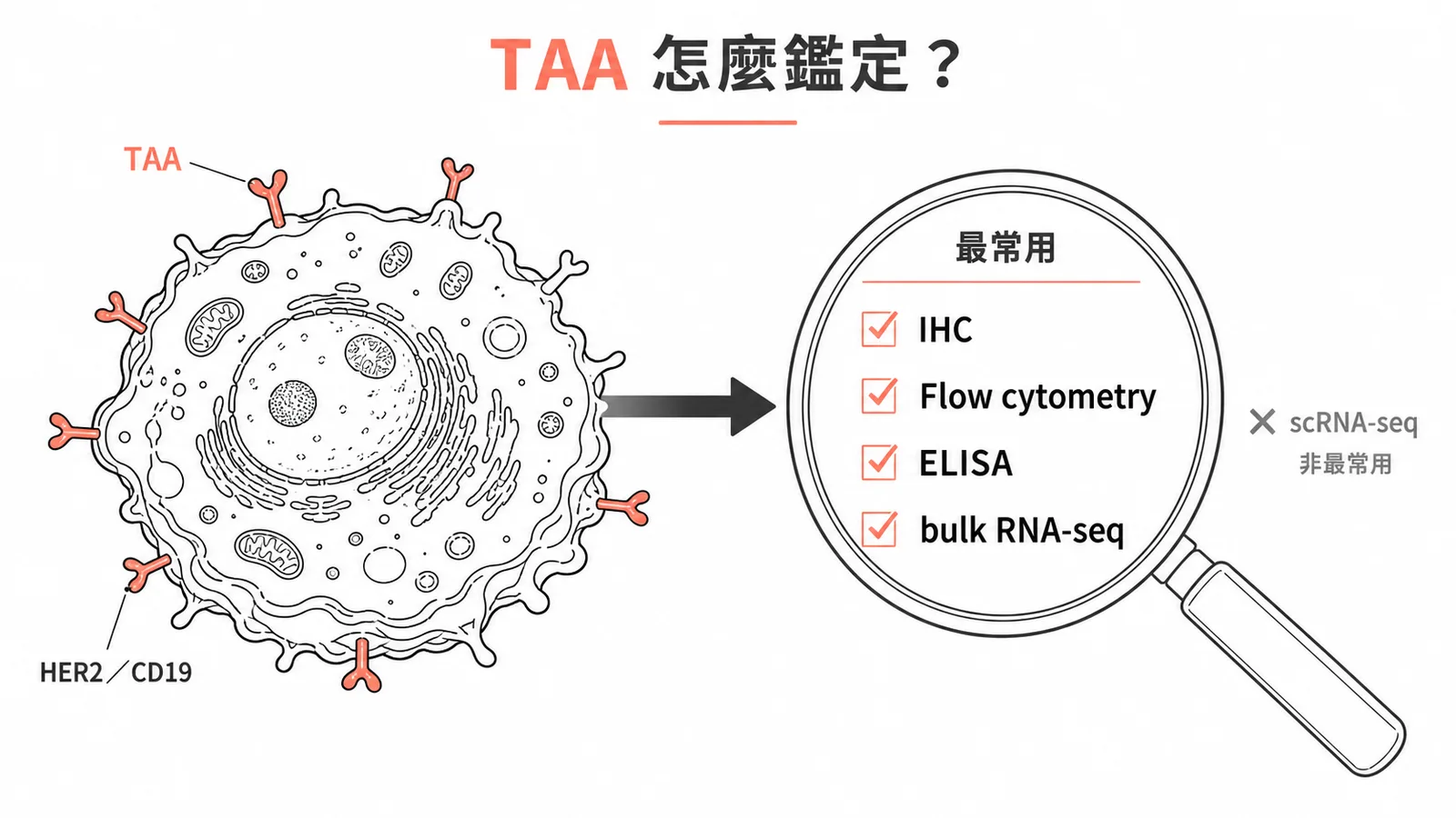TAA 鑑定方法對照:IHC、Flow、ELISA、bulk RNA-seq 常用,scRNA-seq 非最常用