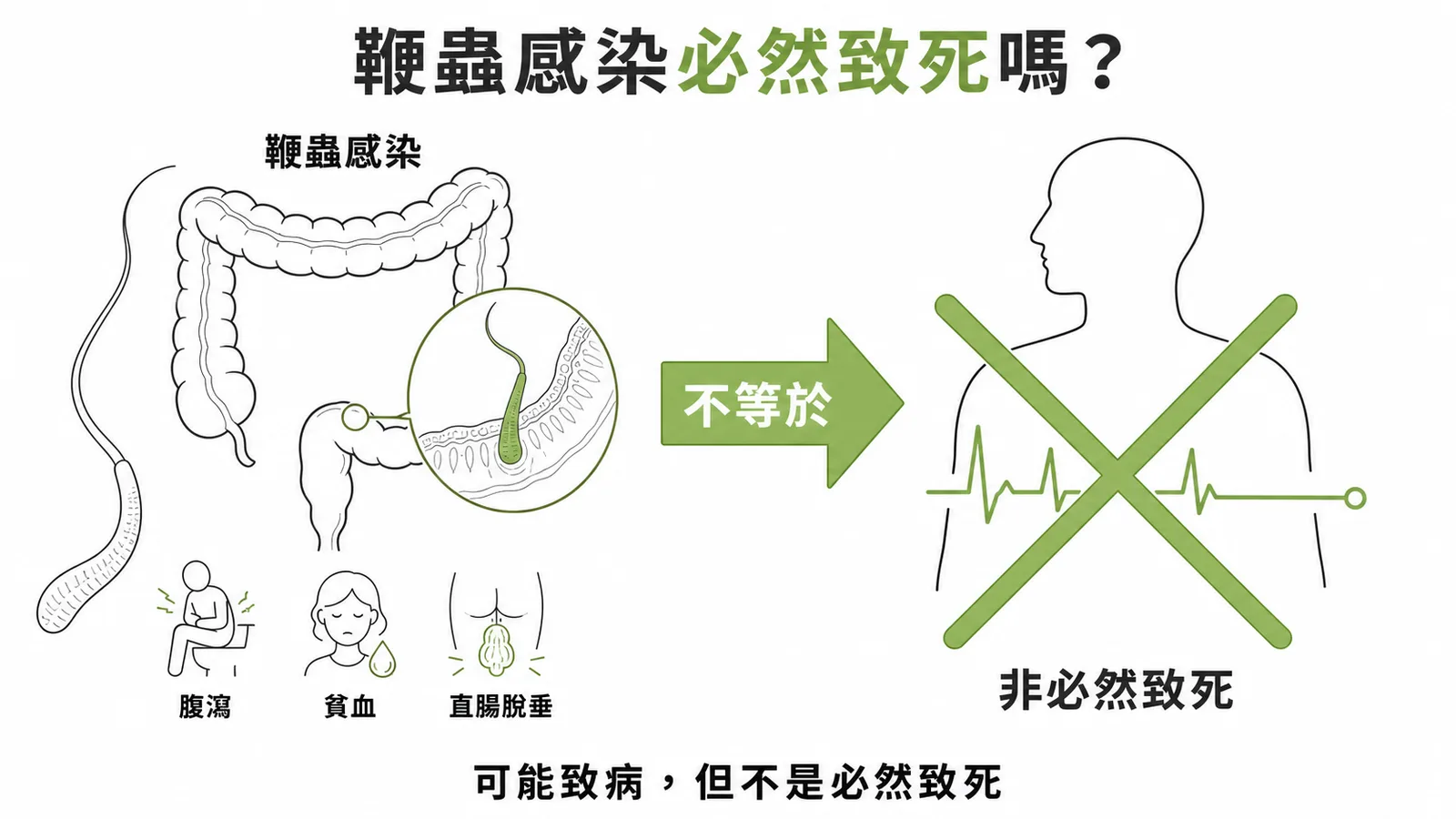 鞭蟲感染可能致病但非必然致死的示意圖
