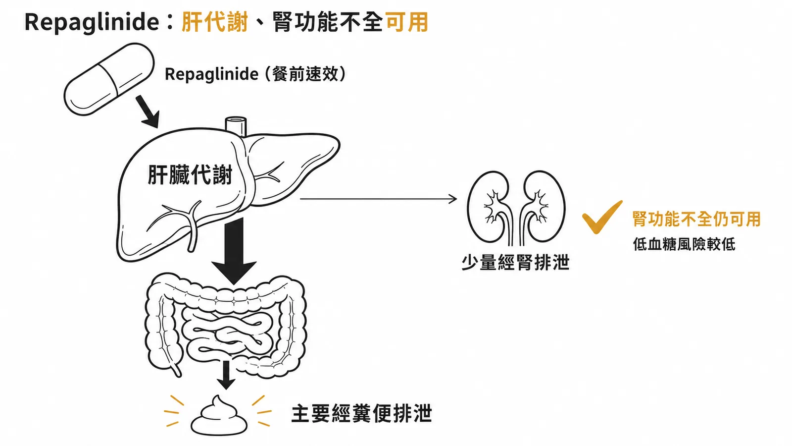 Repaglinide 肝代謝、主要糞便排泄，腎功能不全仍可用