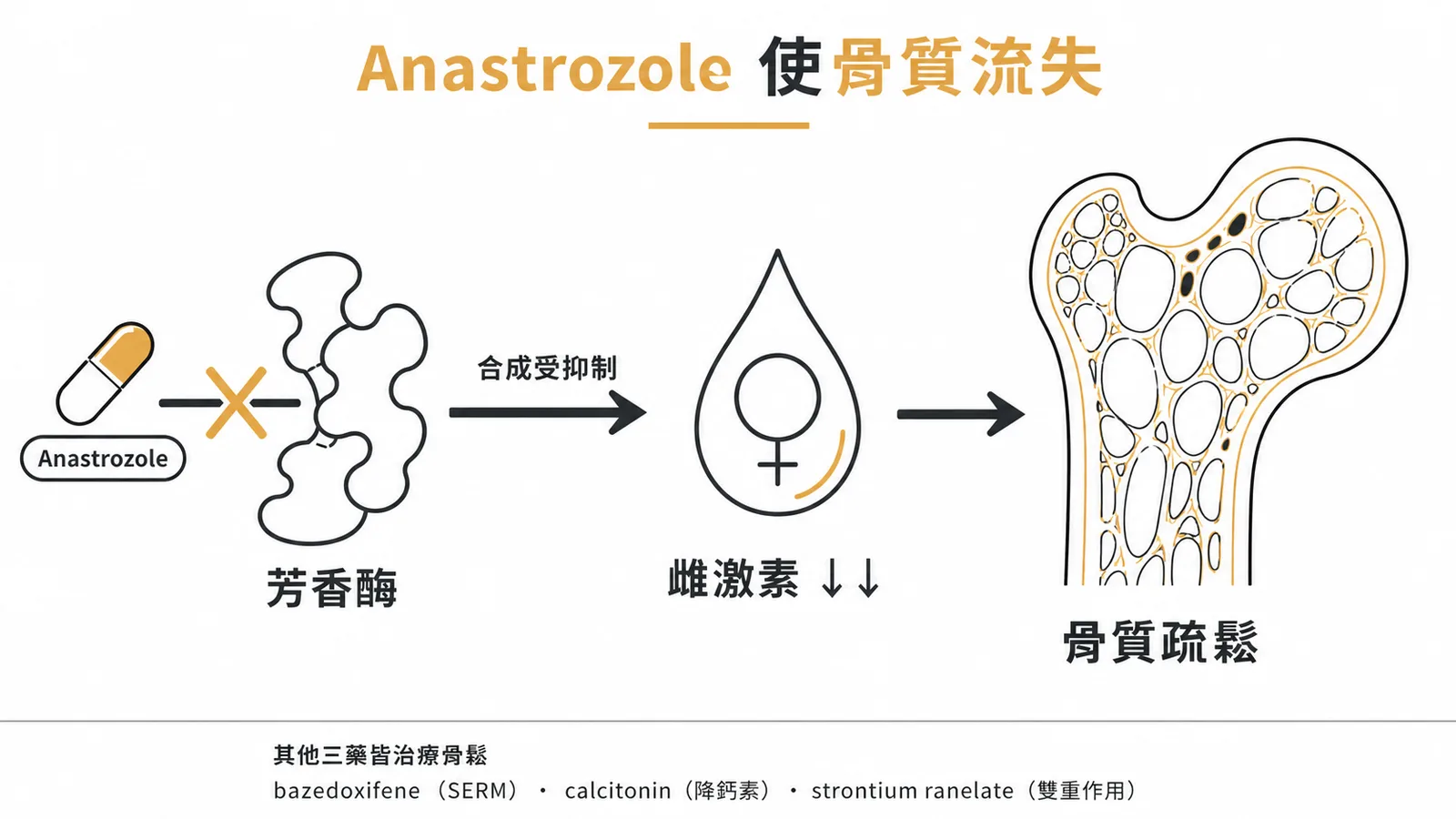 Anastrozole 抑制芳香酶使雌激素下降,導致骨質疏鬆