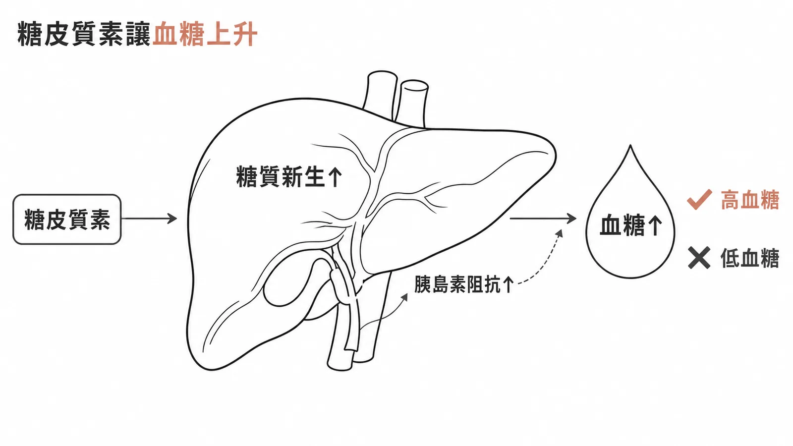 糖皮質素促進糖質新生與胰島素阻抗導致高血糖而非低血糖