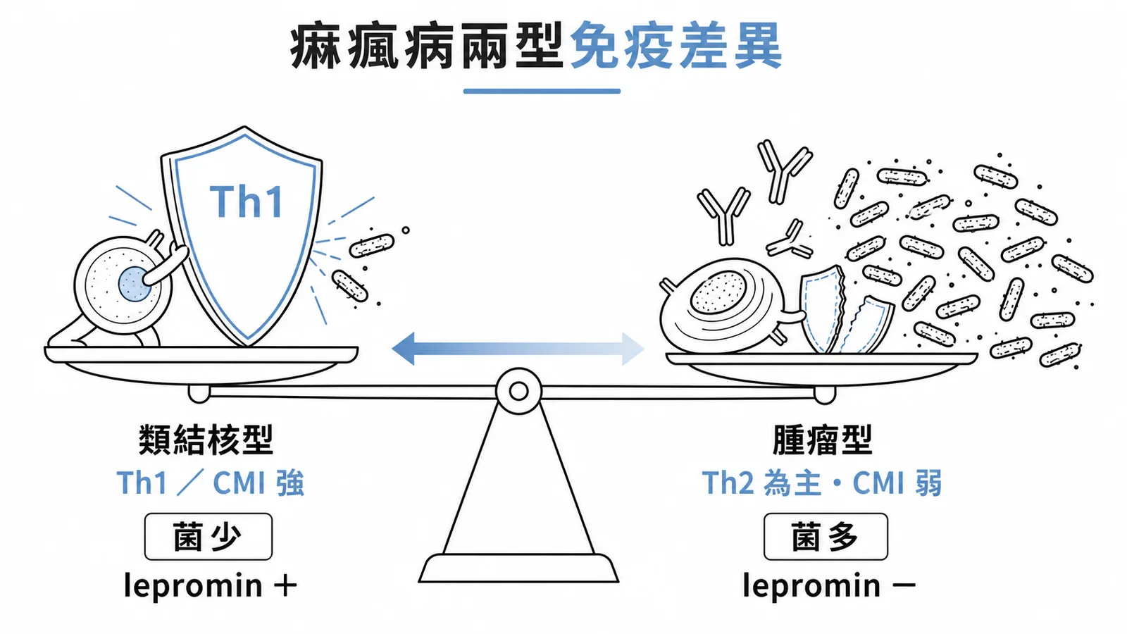 痲瘋病兩型免疫對照:類結核型Th1強菌少lepromin+,腫瘤型Th2為主菌多lepromin−