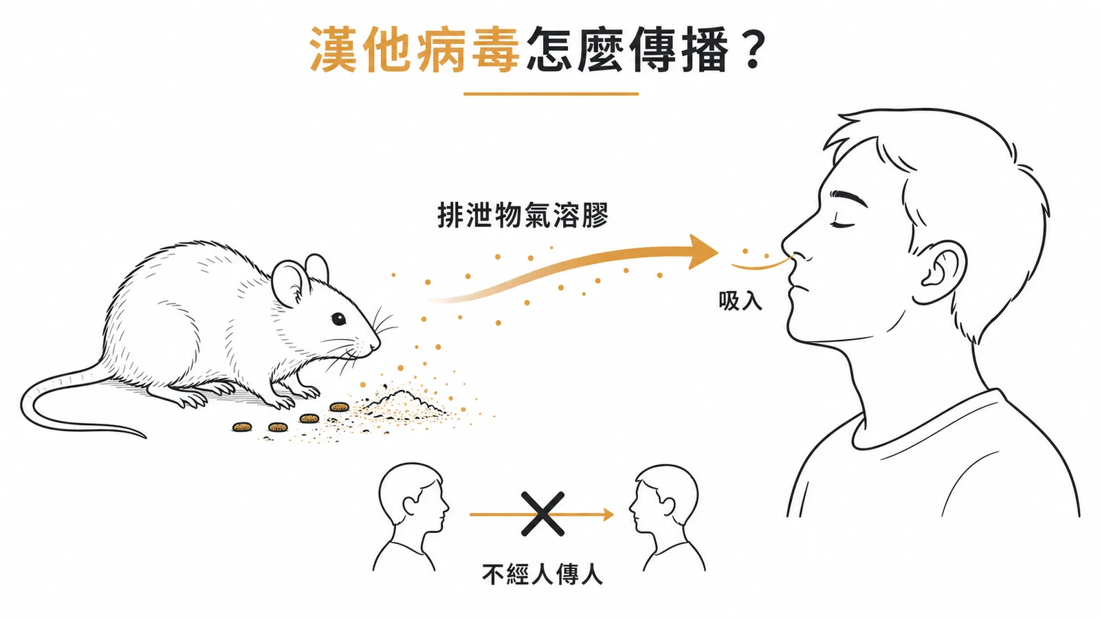 漢他病毒由齧齒類排泄物氣溶膠傳播給人類,不經人傳人