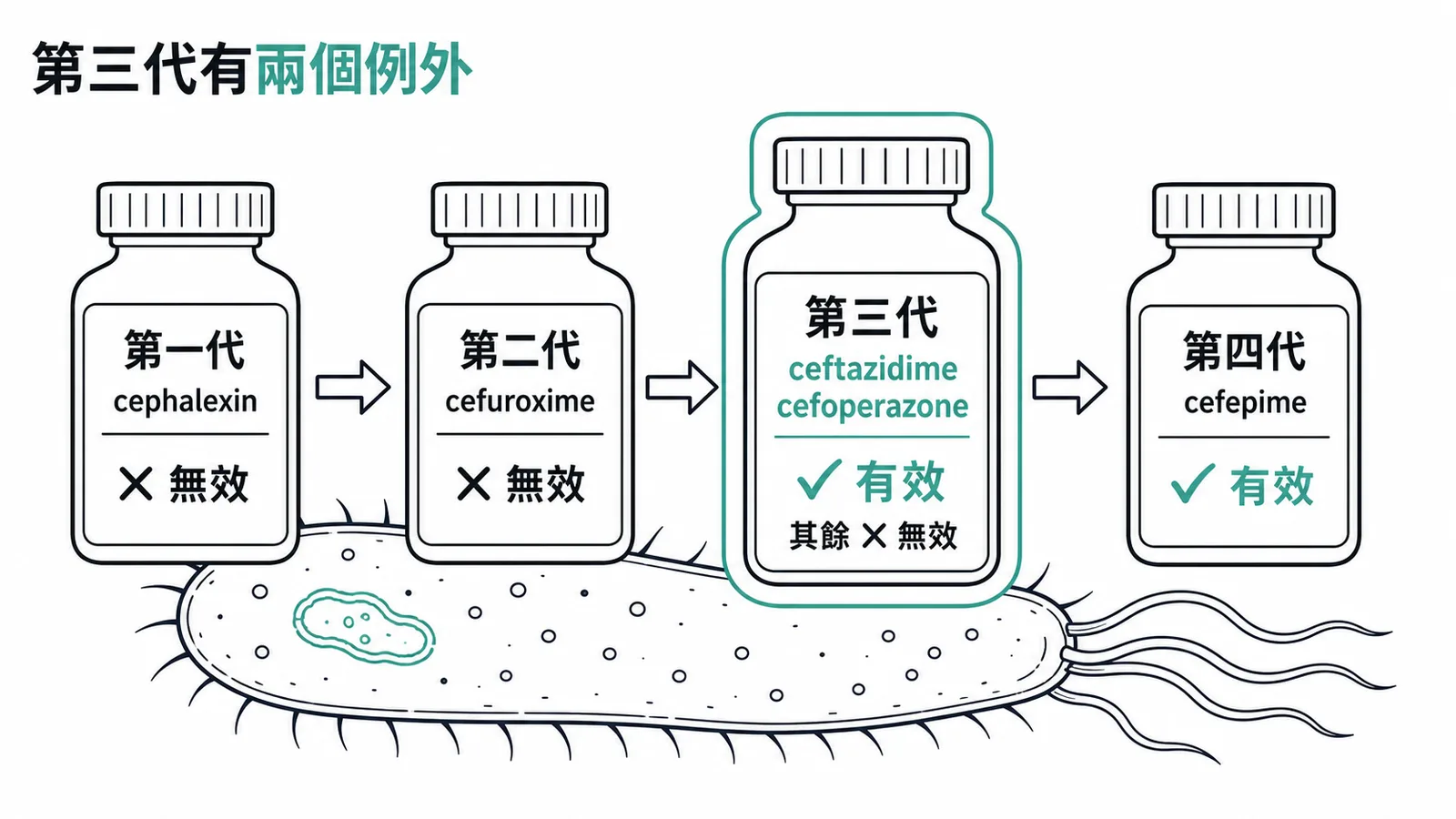頭孢子素各代對綠膿桿菌活性:第三代ceftazidime與cefoperazone是例外有效
