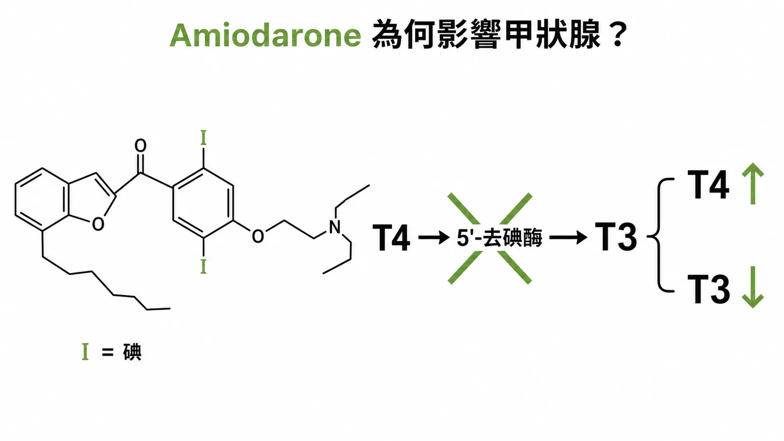 Amiodarone 含碘，抑制 5'-去碘酶阻斷 T4 轉化為 T3