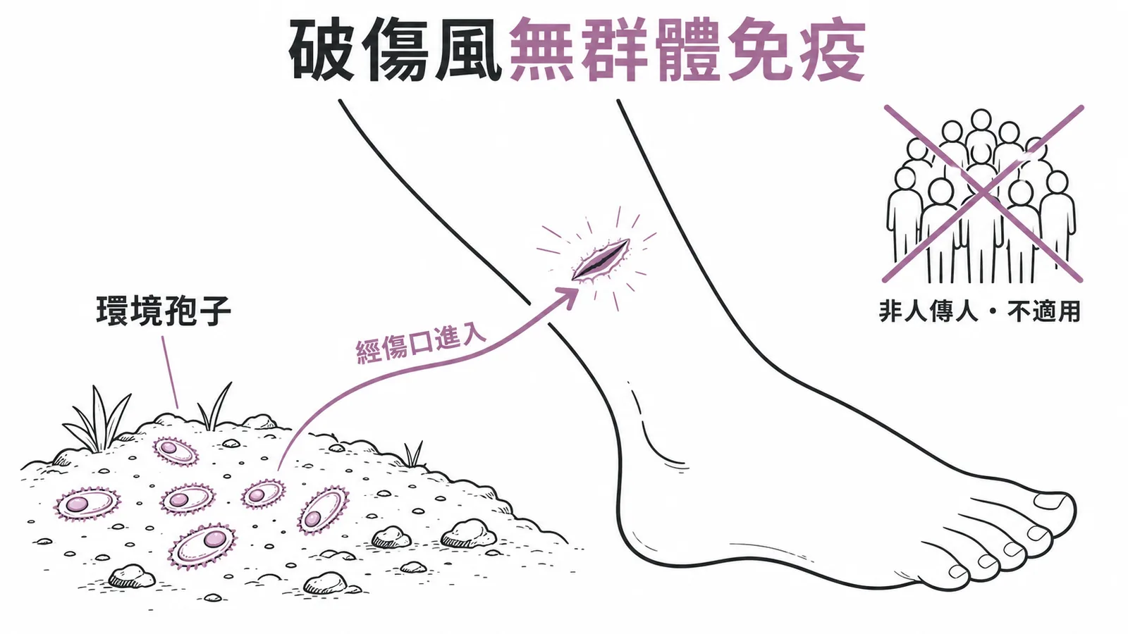破傷風無群體免疫:環境孢子經傷口感染,非人傳人