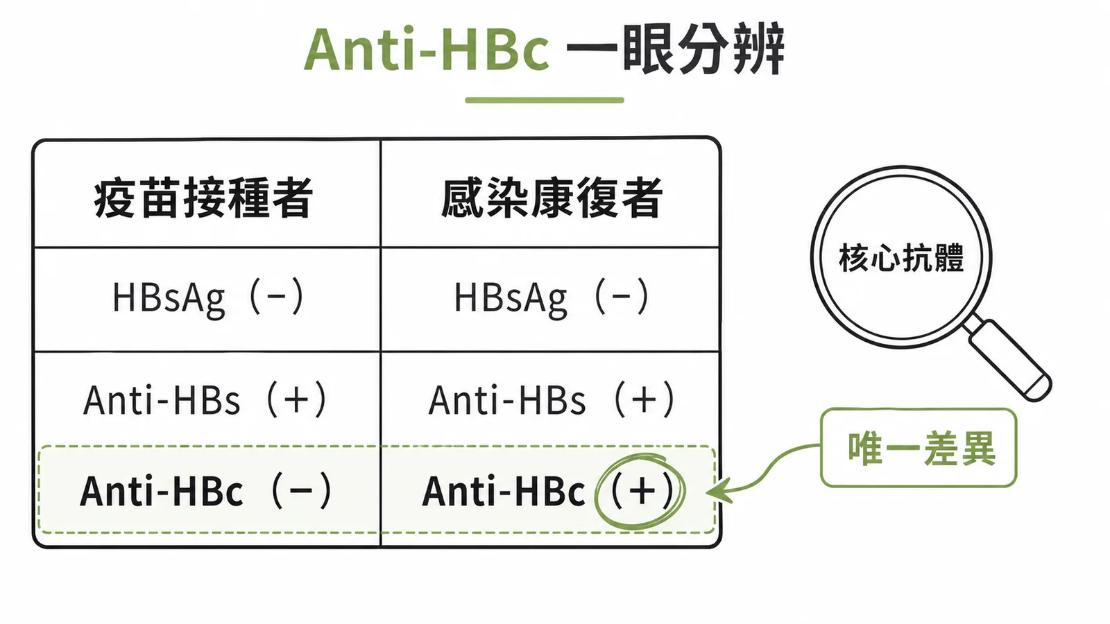 B肝血清學鑑別:Anti-HBc 是區分疫苗接種與感染康復的唯一差異