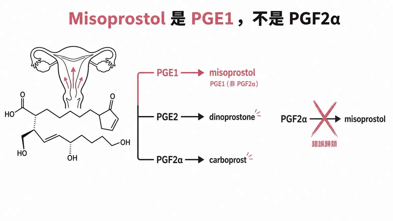 前列腺素子宮收縮劑分類:PGE1 對應 misoprostol 而非 PGF2α