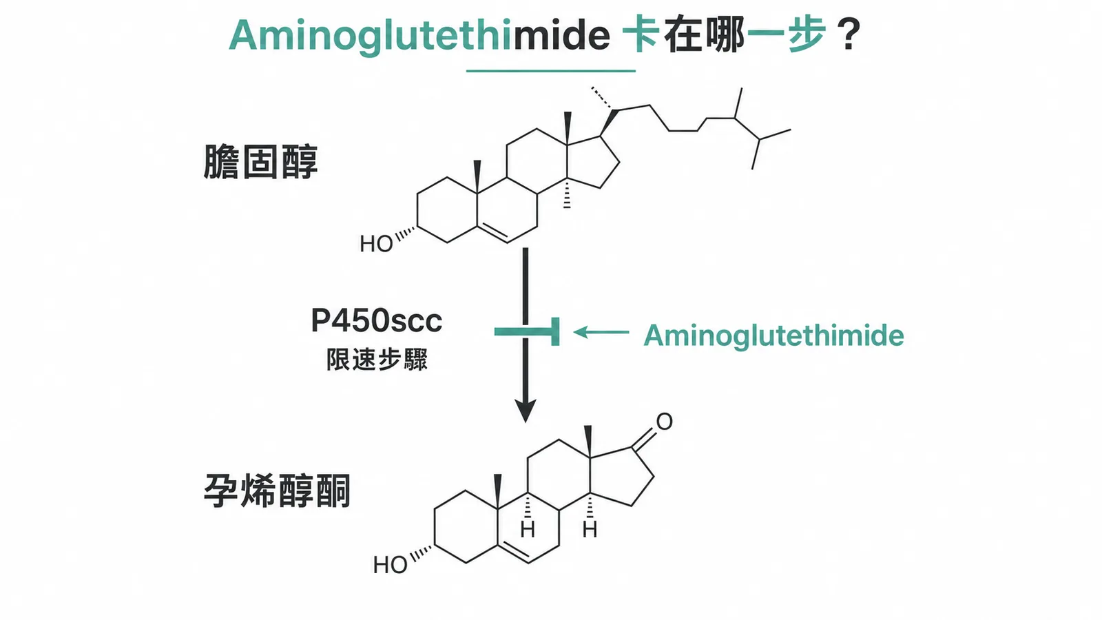 Aminoglutethimide 抑制 P450scc 阻斷膽固醇轉換為孕烯醇酮的限速步驟