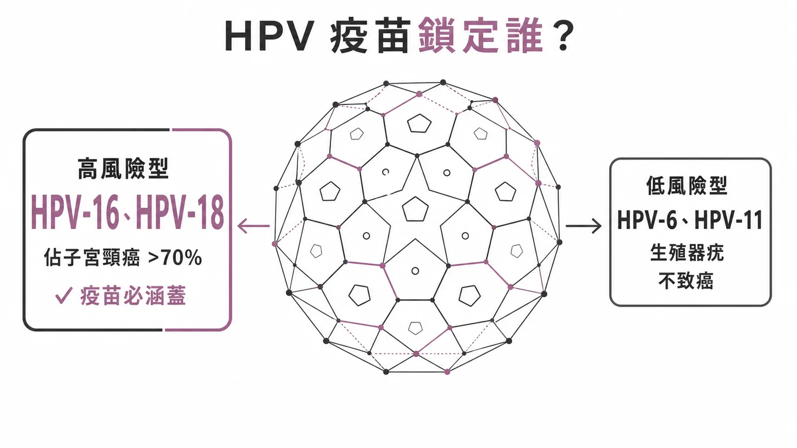 HPV-16與HPV-18為高風險致癌型,佔子宮頸癌逾七成