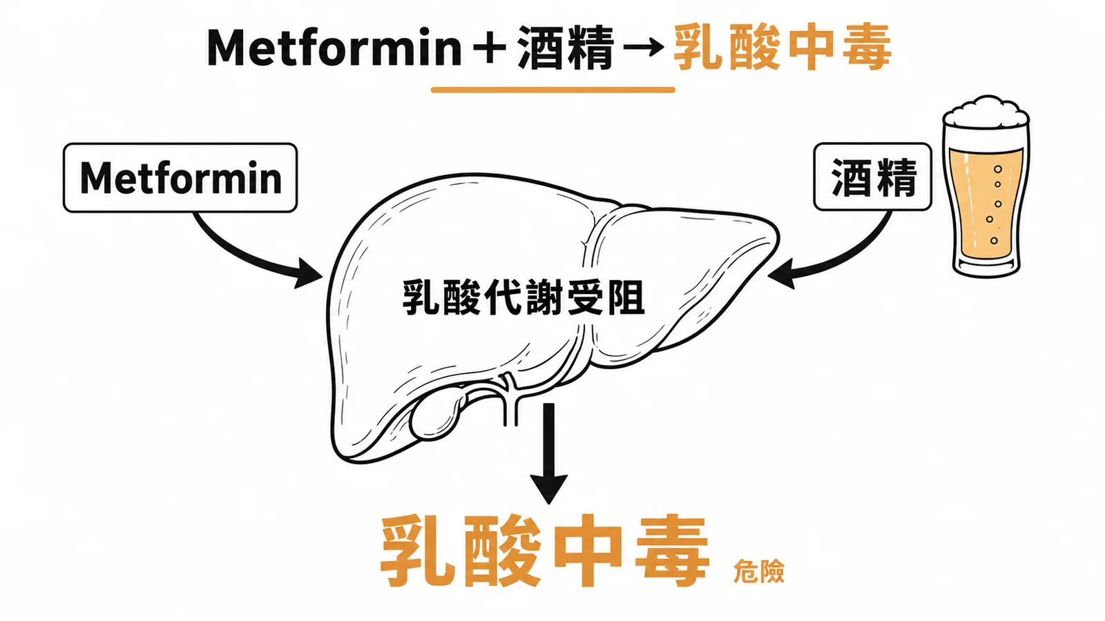 Metformin 加酒精阻礙肝臟乳酸代謝，導致乳酸中毒