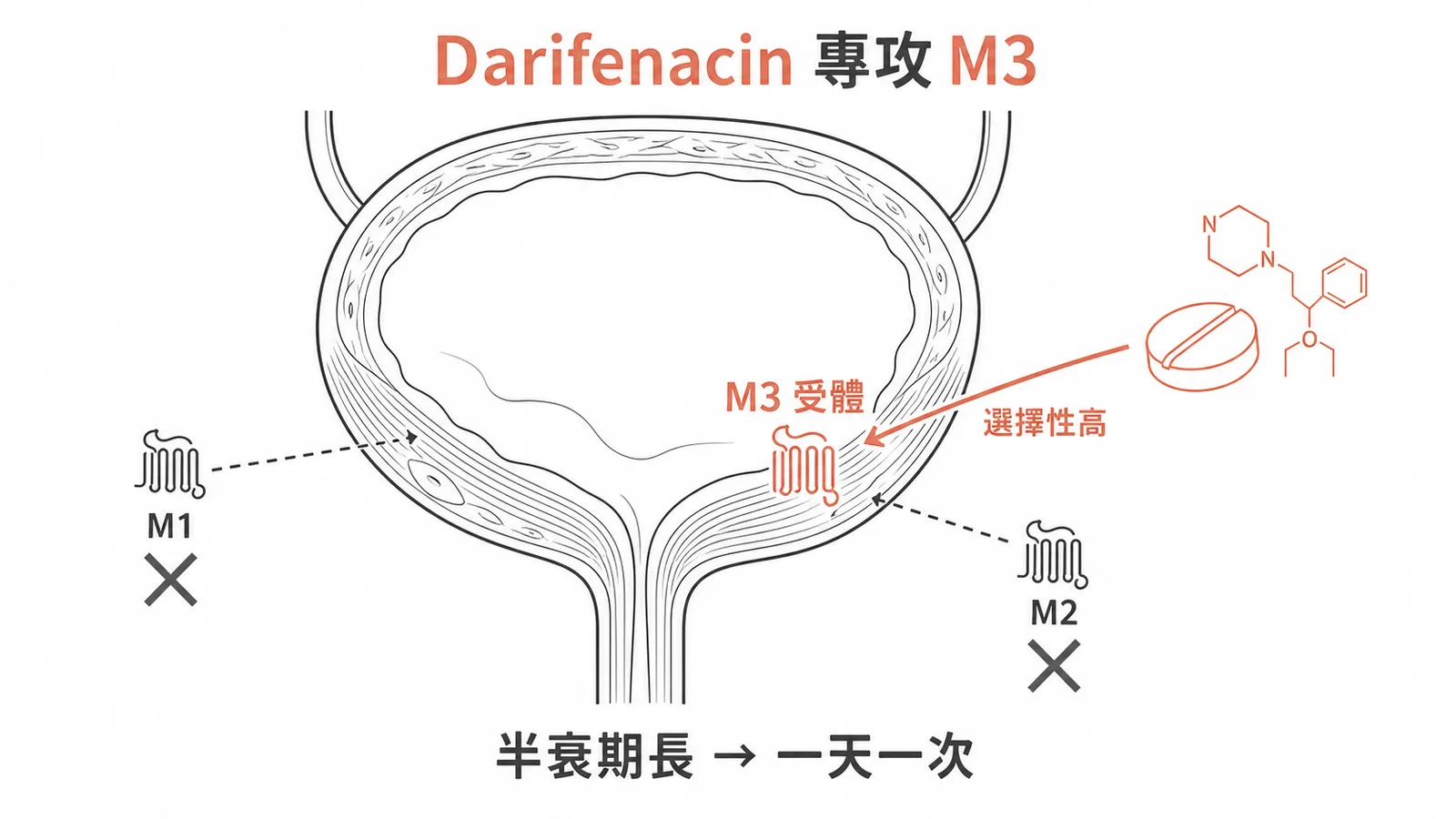 Darifenacin 高選擇性 M3 受體拮抗一天一次治療膀胱過動