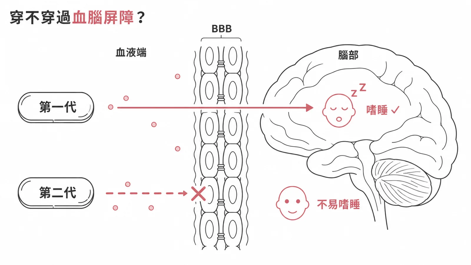 第一代抗組織胺穿過血腦屏障致嗜睡第二代不穿過