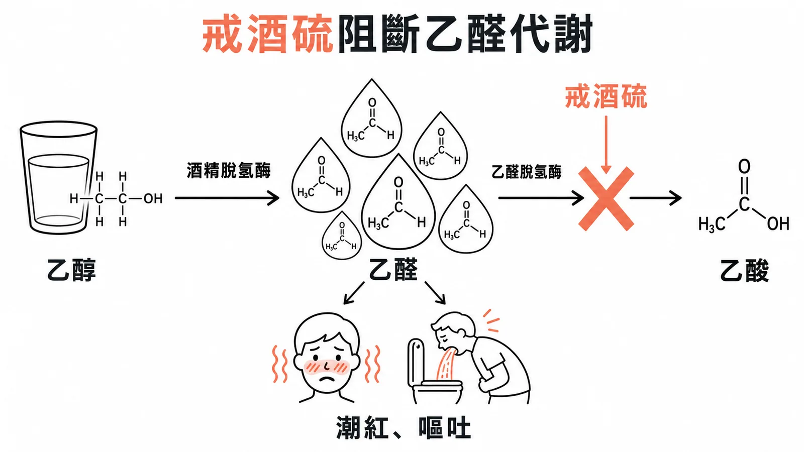 Disulfiram 抑制乙醛脫氫酶使乙醛堆積引發戒酒反應