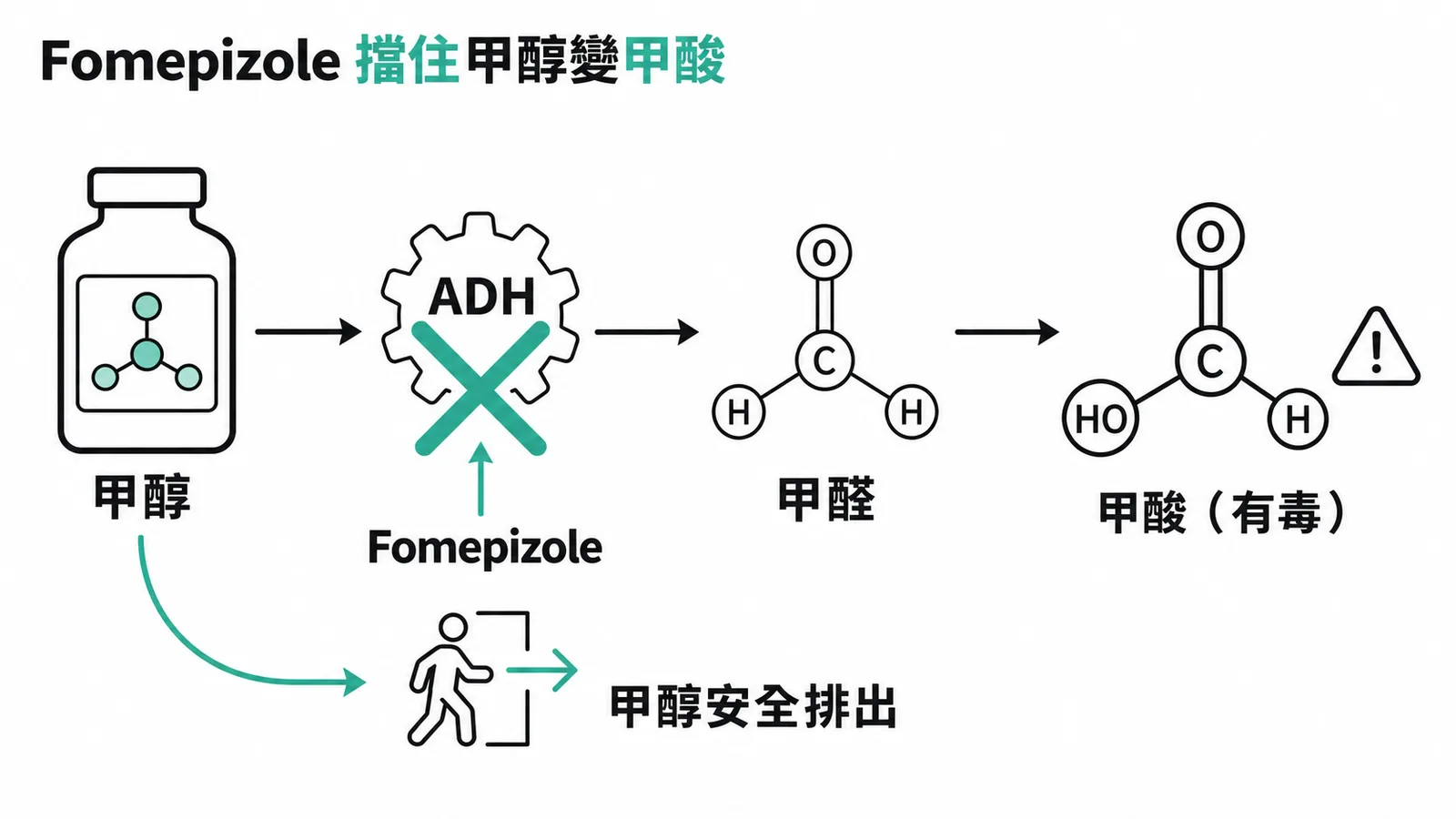 Fomepizole 抑制醇脫氫酶阻斷甲醇代謝成有毒甲酸