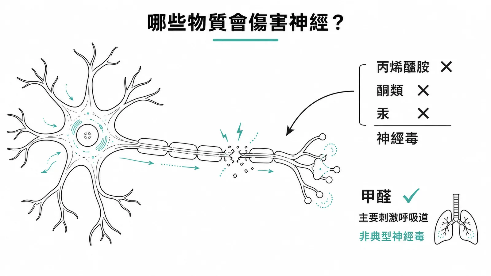 丙烯醯胺、酮類、汞為神經毒素；甲醛主要刺激呼吸道非典型神經毒