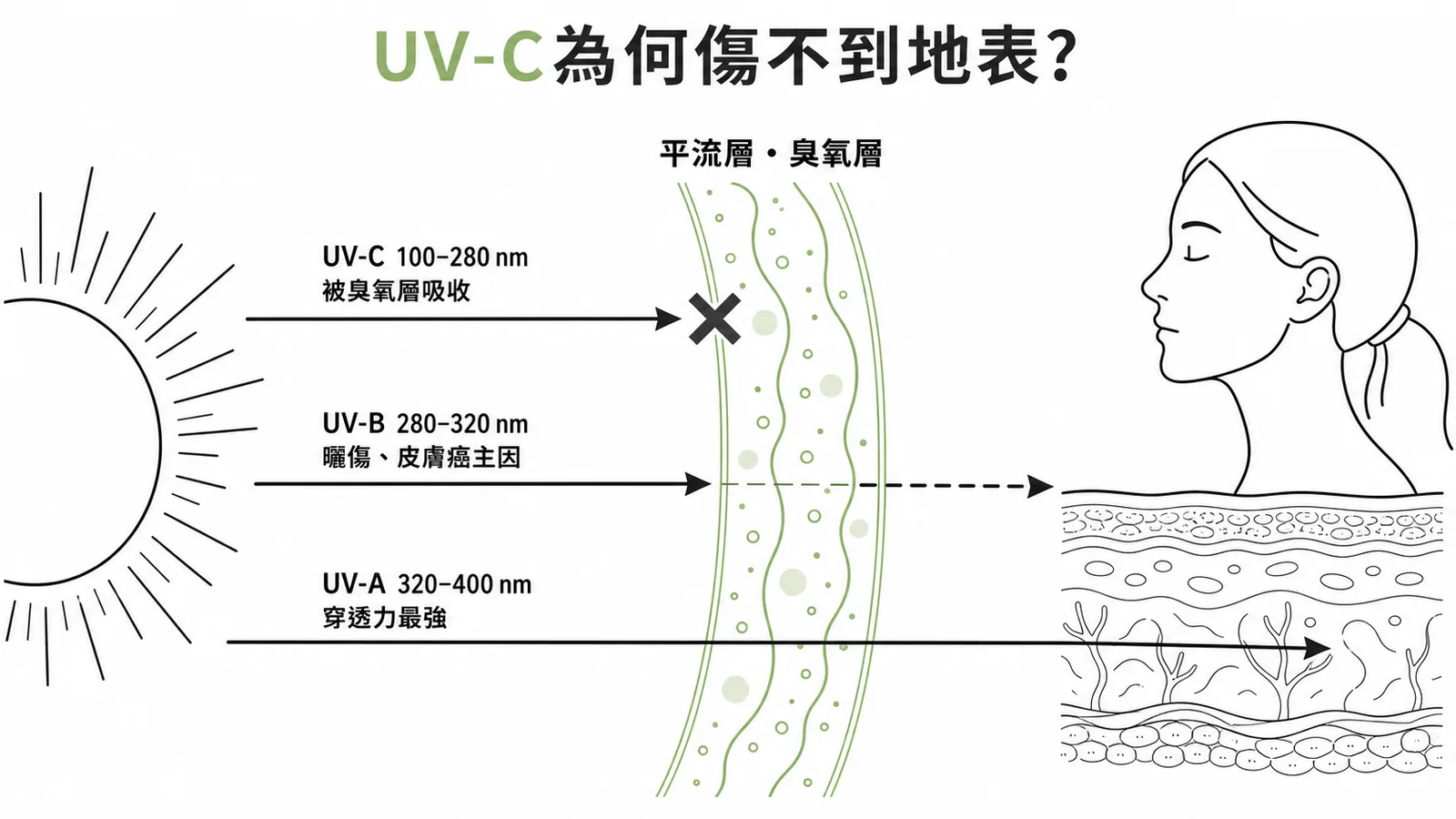 UV-C被臭氧層阻擋而無法到達地表的示意圖