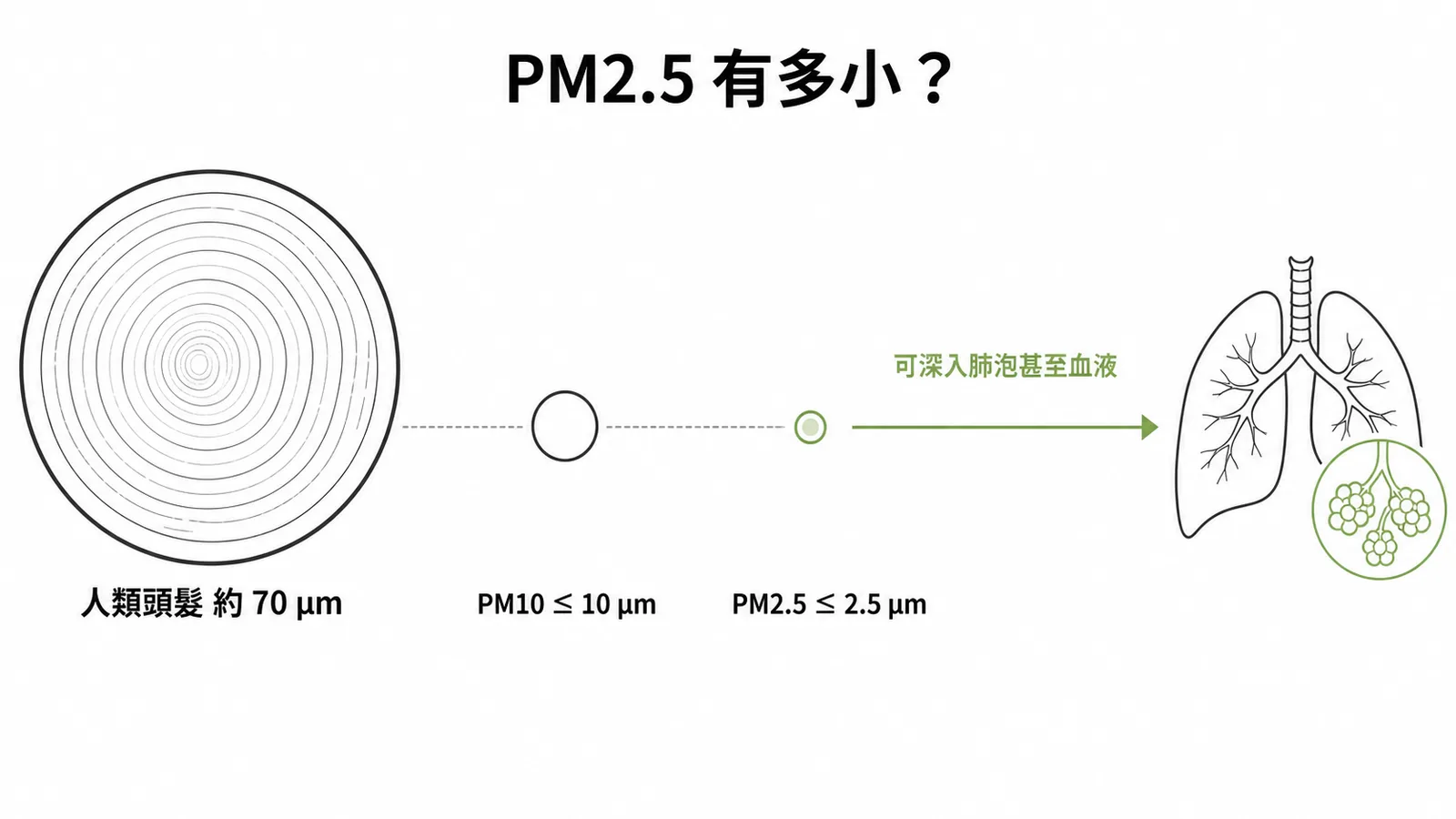 PM2.5粒徑與頭髮及PM10的大小對比示意