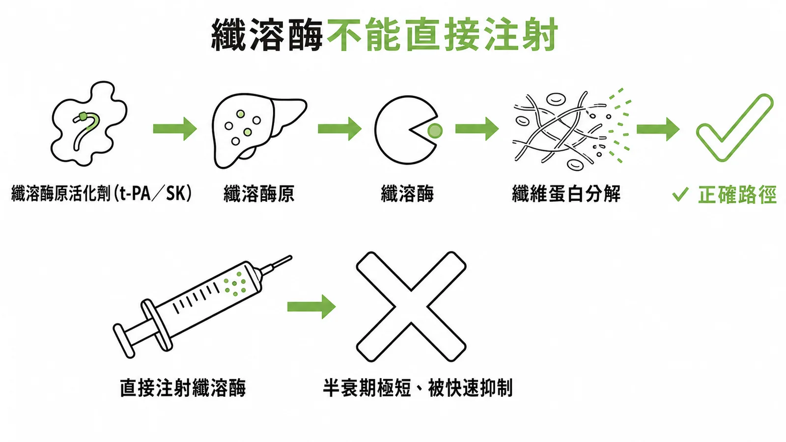 血栓溶解正確路徑為活化纖溶酶原而非直接注射纖溶酶