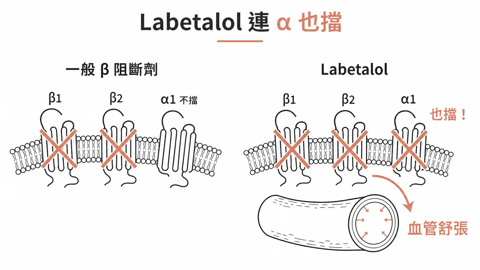 Labetalol 同時阻斷 β1、β2 與 α1 受體，α 阻斷作用導致血管舒張