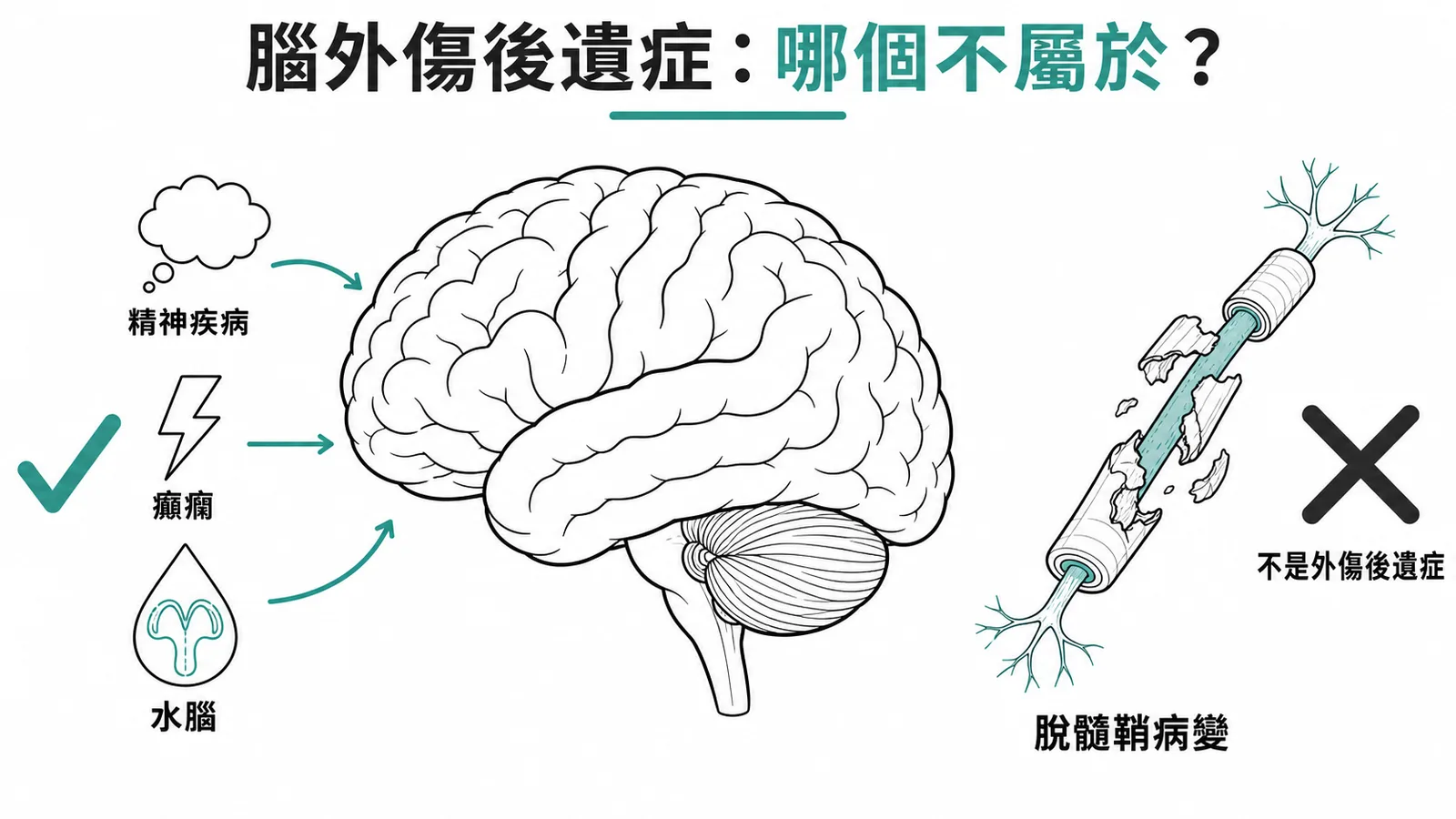 腦外傷常見後遺症與脫髓鞘疾病的區別