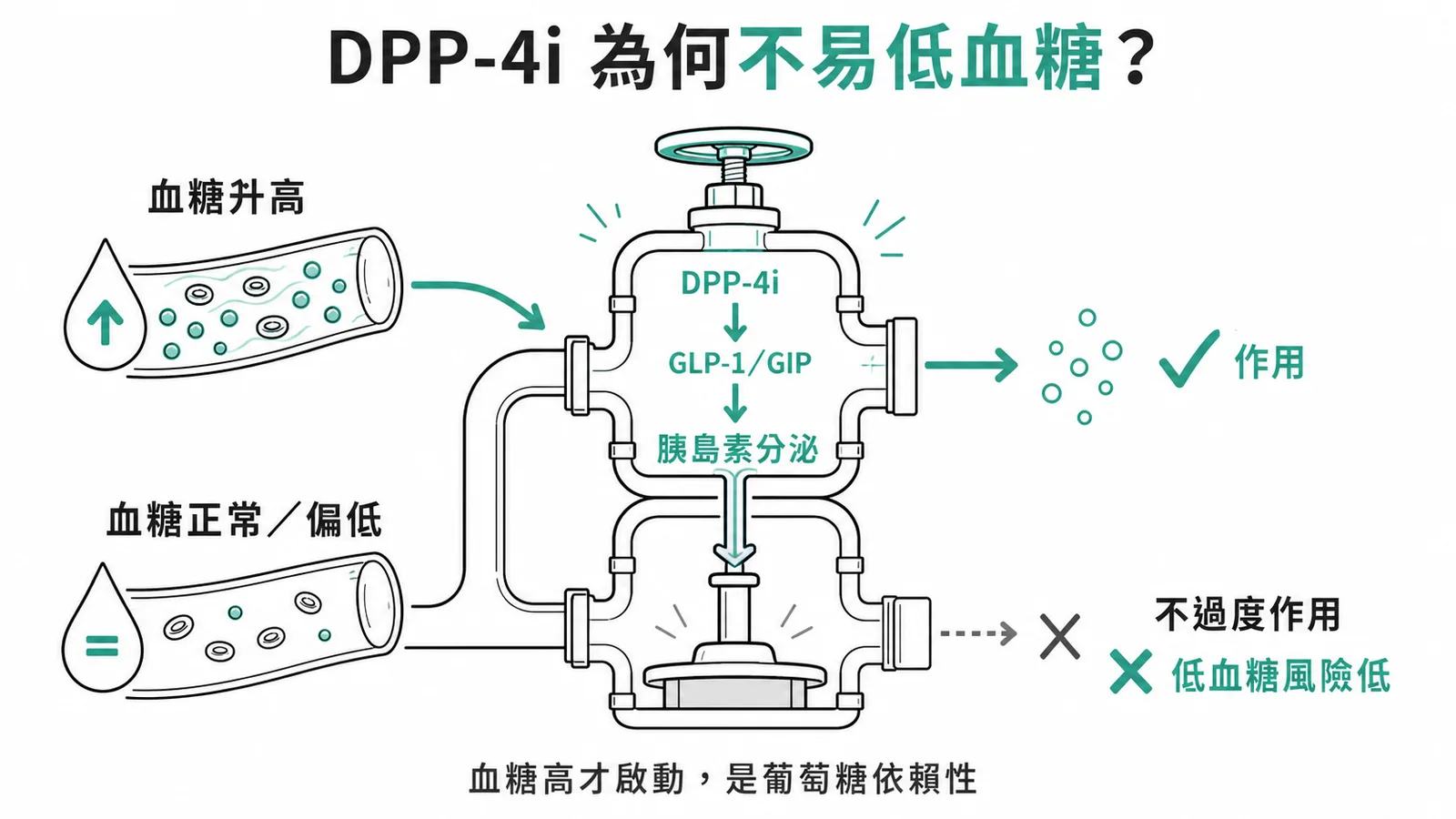 DPP-4 抑制劑的作用是葡萄糖依賴性的,血糖高才啟動,因此單獨使用時低血糖風險低