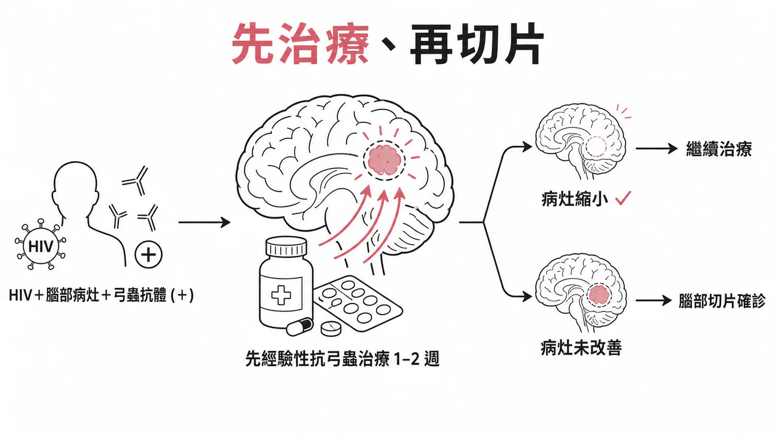 HIV腦部病灶先經驗性抗弓蟲治療再視反應決定是否切片的處置流程圖