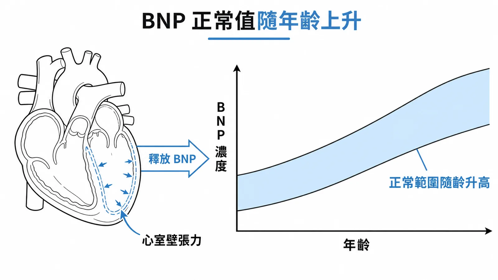 BNP正常值隨年齡上升趨勢示意圖