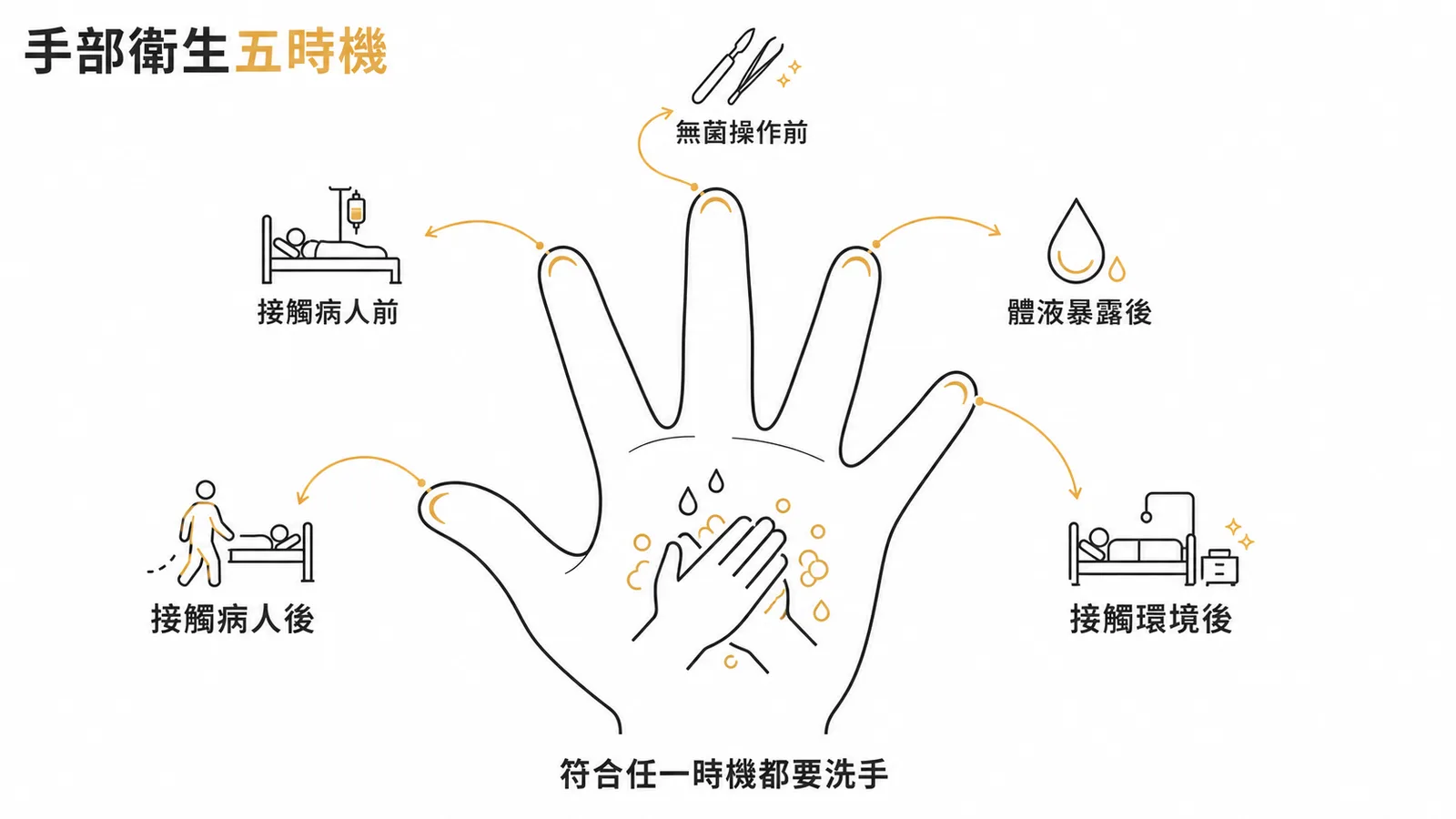 WHO手部衛生五時機示意圖
