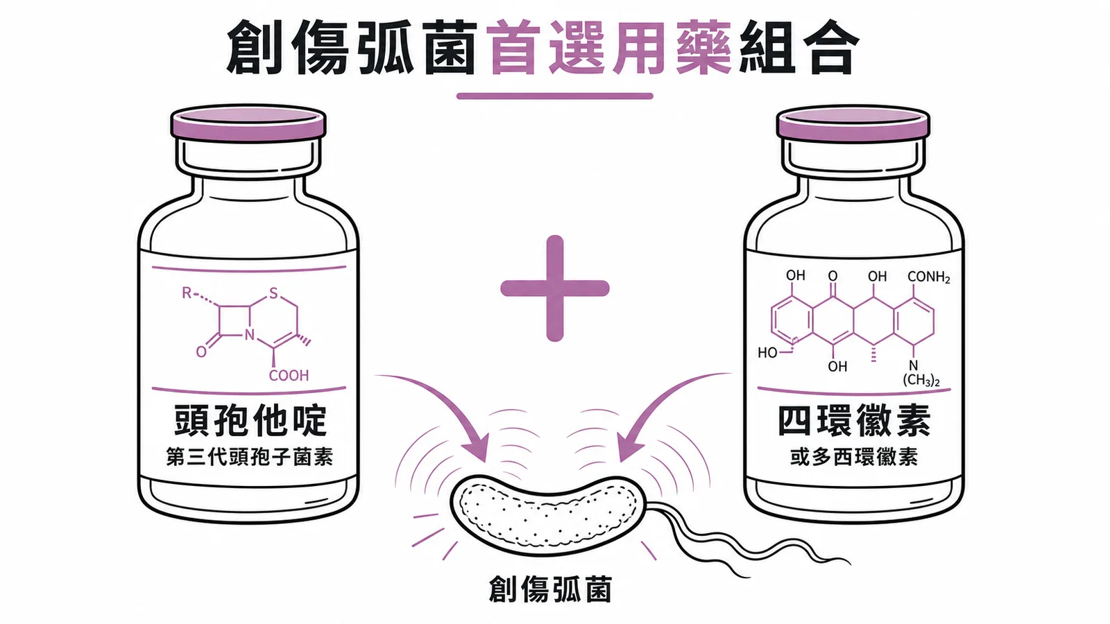 創傷弧菌首選用藥:ceftazidime加tetracycline