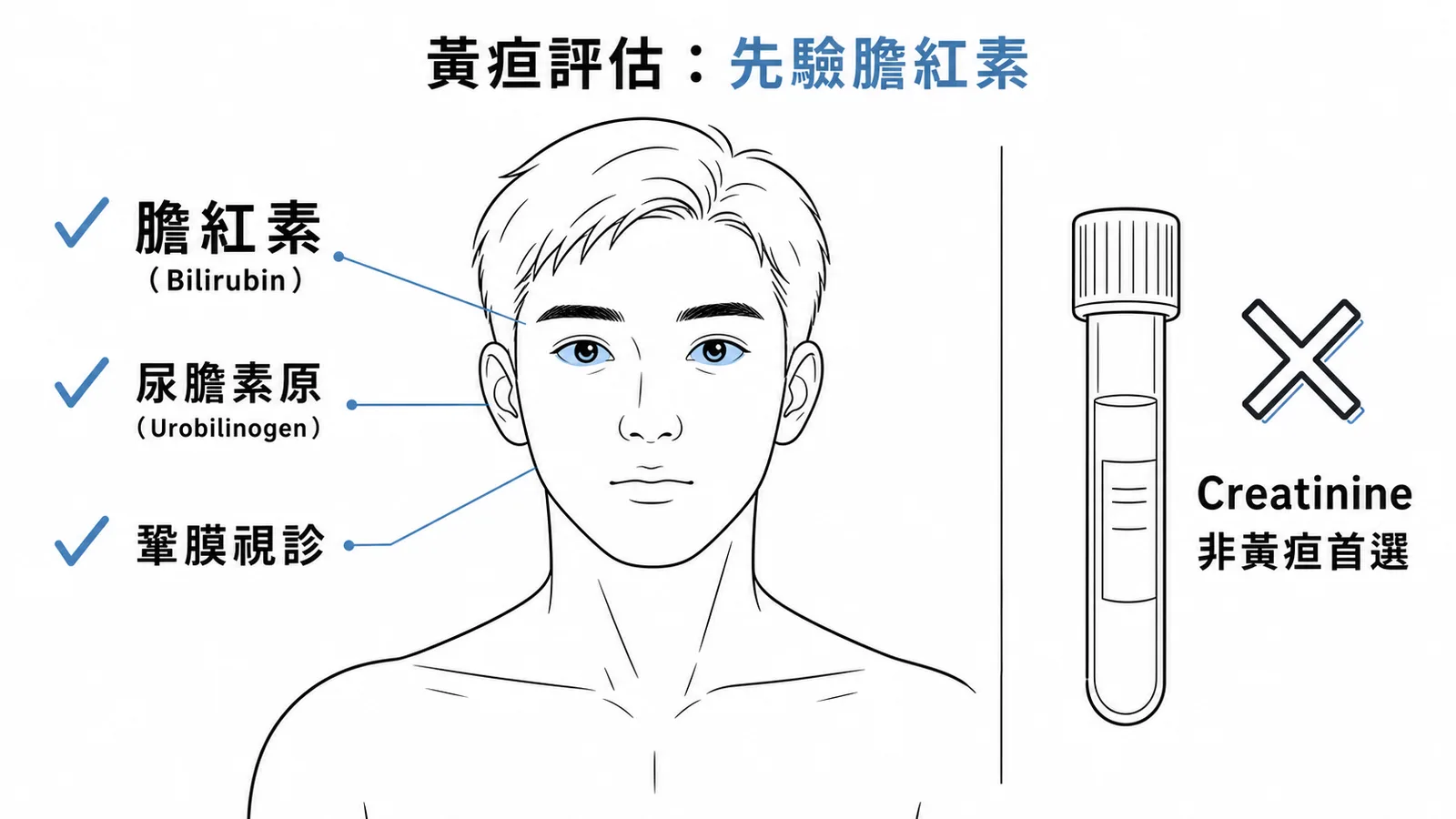 黃疸初步評估：膽紅素、尿膽素原、鞏膜視診為適當檢查，Creatinine非首選