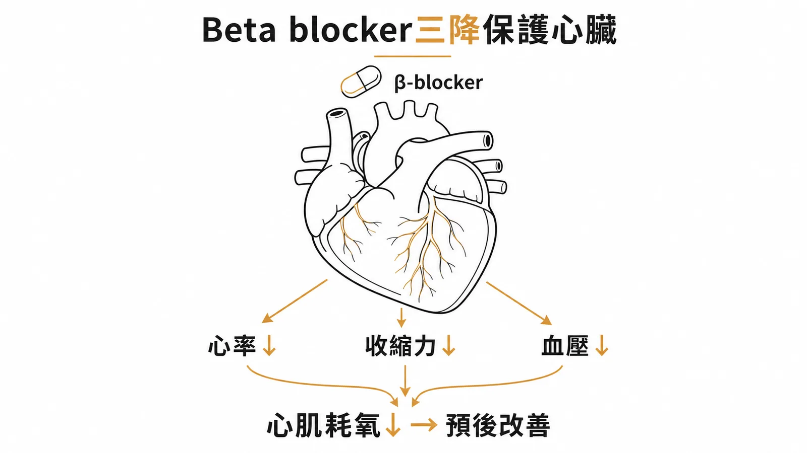 Beta blocker三降保護心臟：降心率、降收縮力、降血壓，減少心肌耗氧