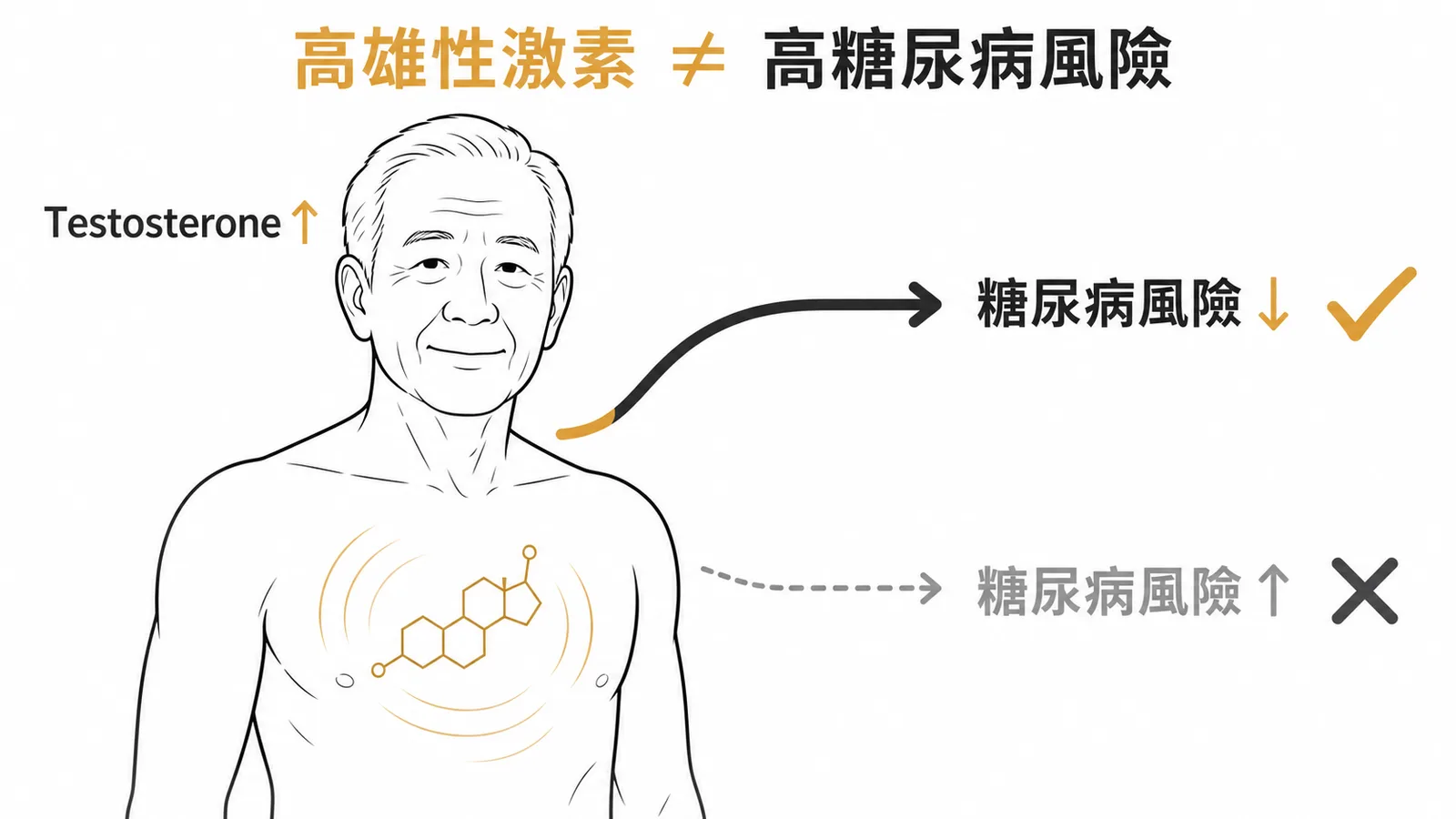 高雄性激素與低糖尿病風險相關而非增加風險
