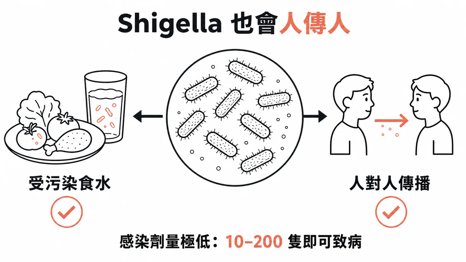 Shigella傳播途徑：受污染食水與人對人傳播皆可，感染劑量極低