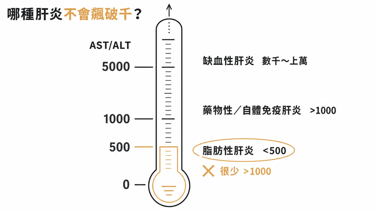 不同肝炎的肝指數升高幅度:脂肪性肝炎很少超過1000