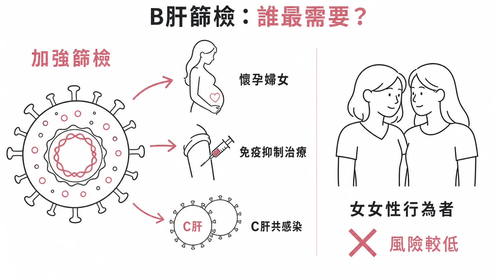 B型肝炎篩檢高風險族群:懷孕婦女、免疫抑制劑使用者、C肝共感染者需加強篩檢