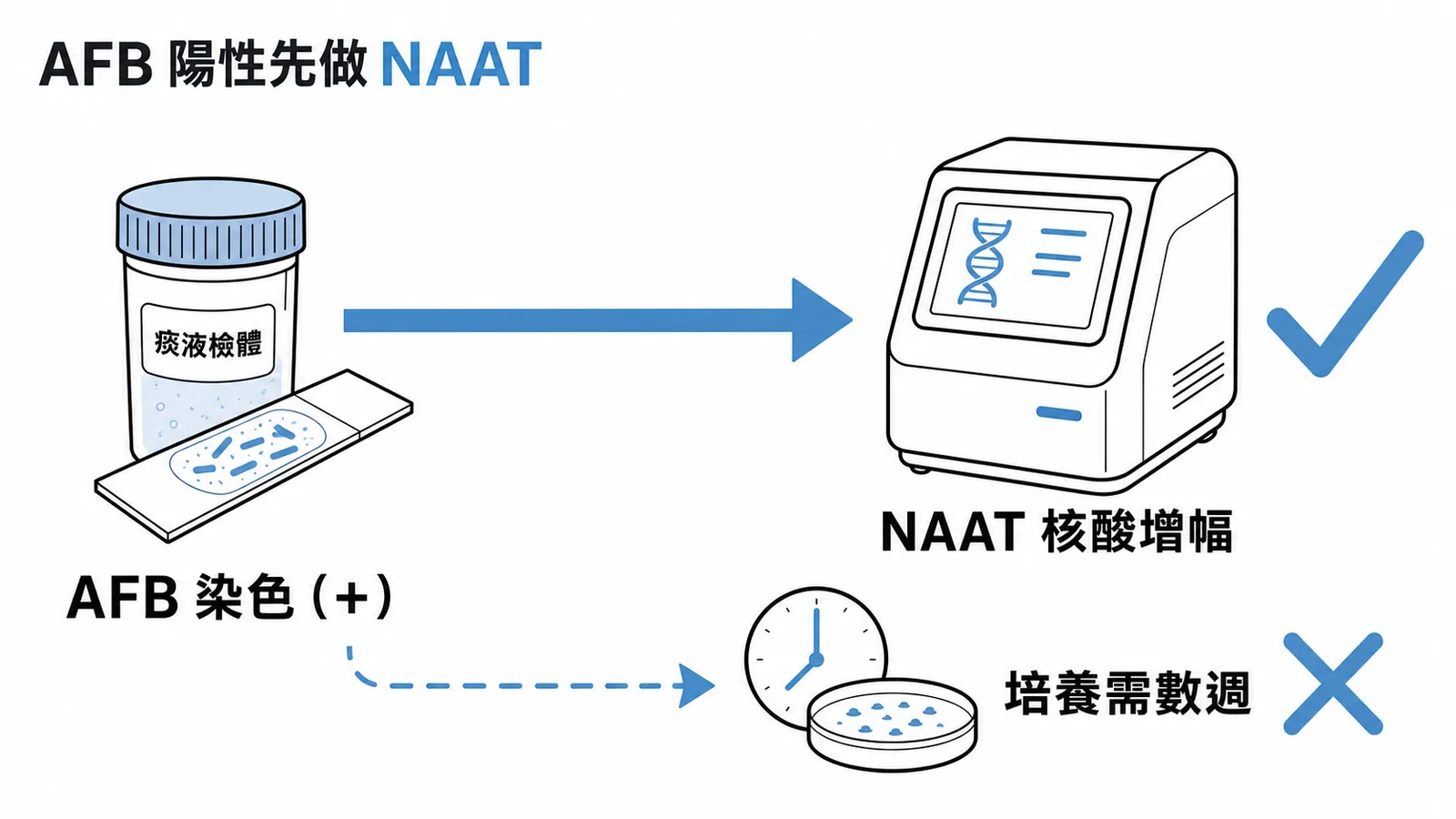 AFB染色陽性下一步做NAAT而非等培養