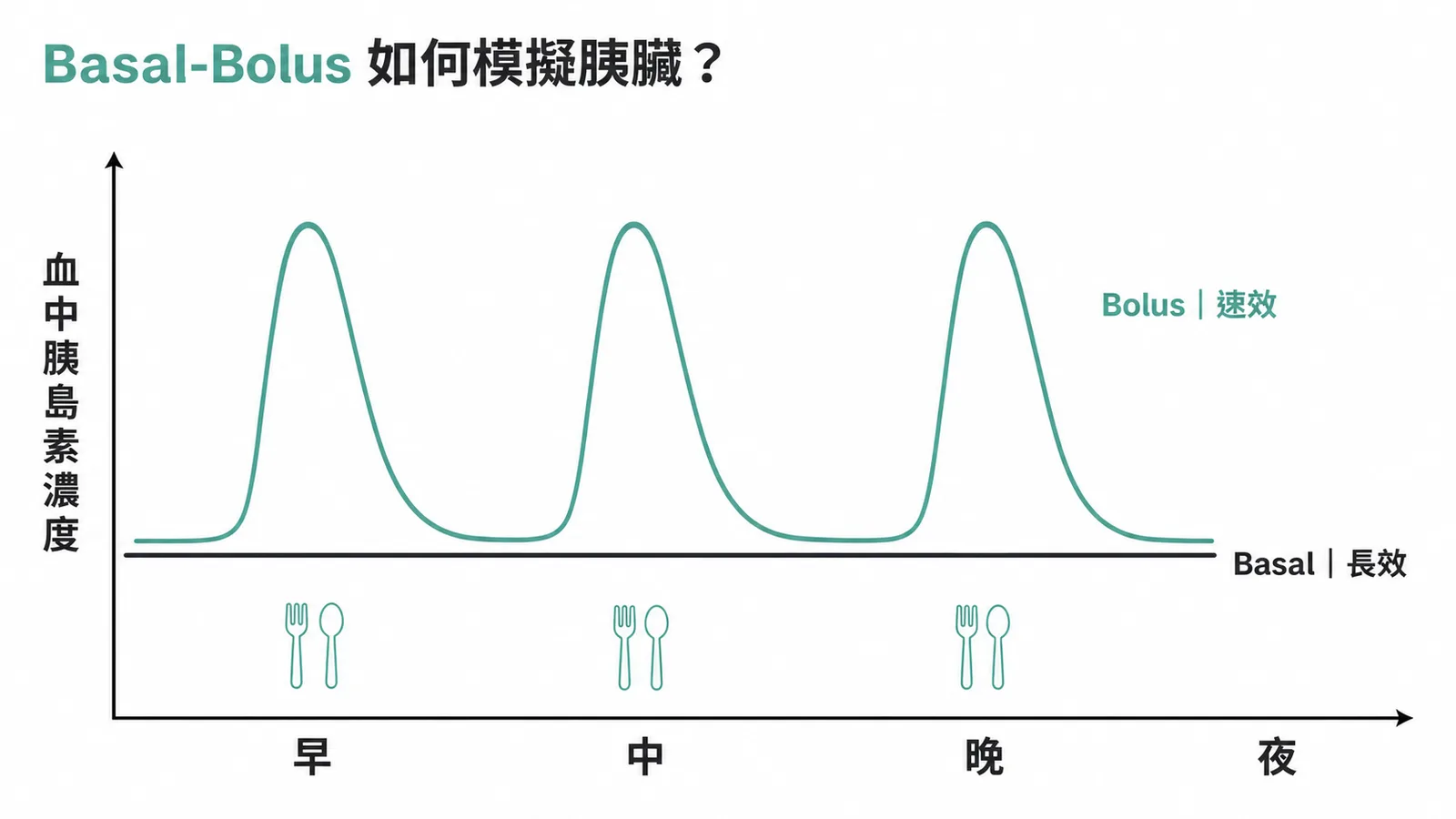 Basal-Bolus 胰島素模擬胰臟生理分泌:基礎線加三餐高峰的 24 小時曲線圖
