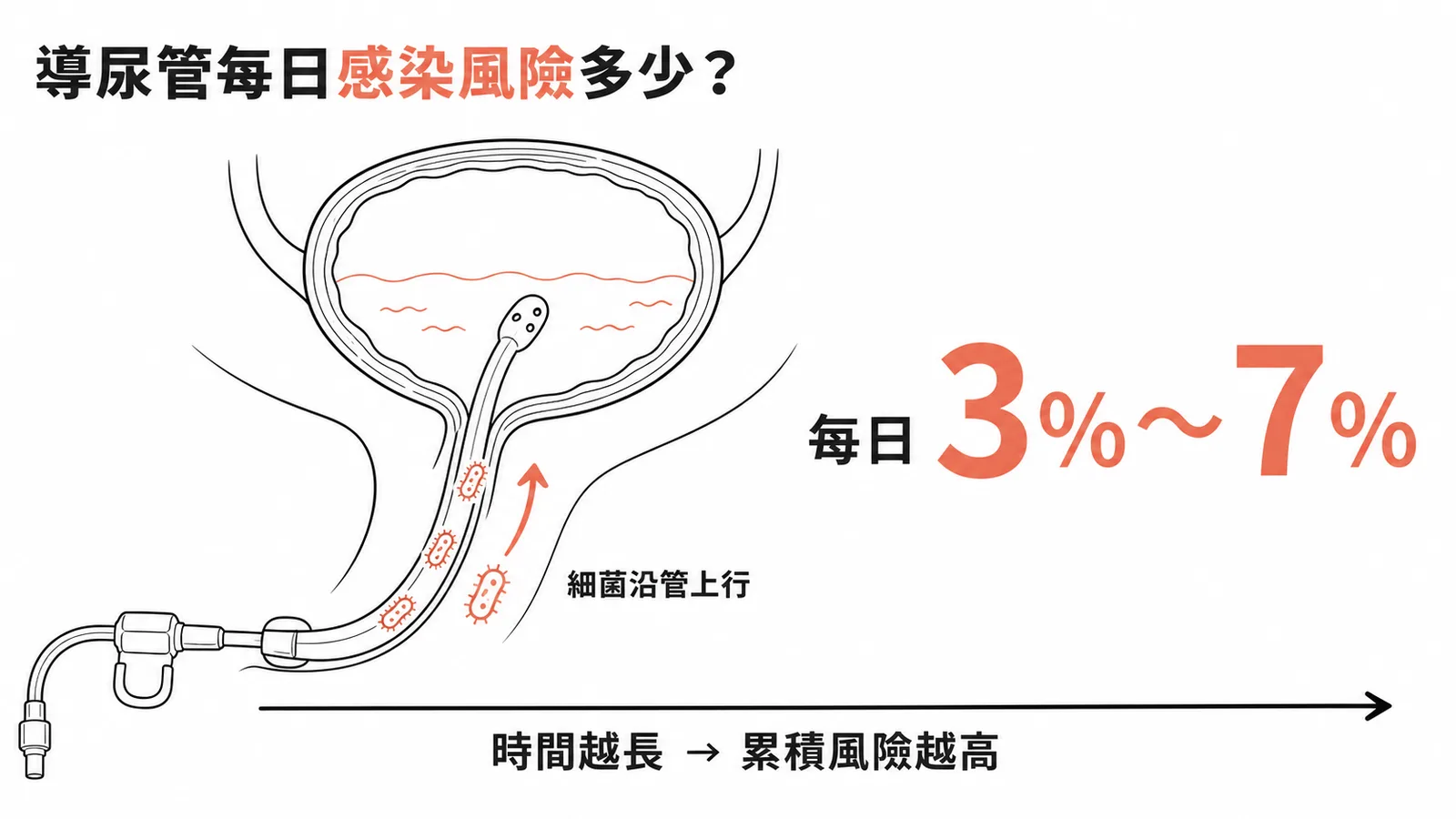 導尿管細菌沿管上行每日感染風險 3% 至 7% 的示意圖