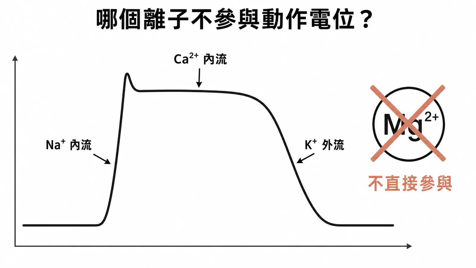 心臟動作電位各期離子:Phase 0 鈉、Phase 2 鈣、Phase 3 鉀