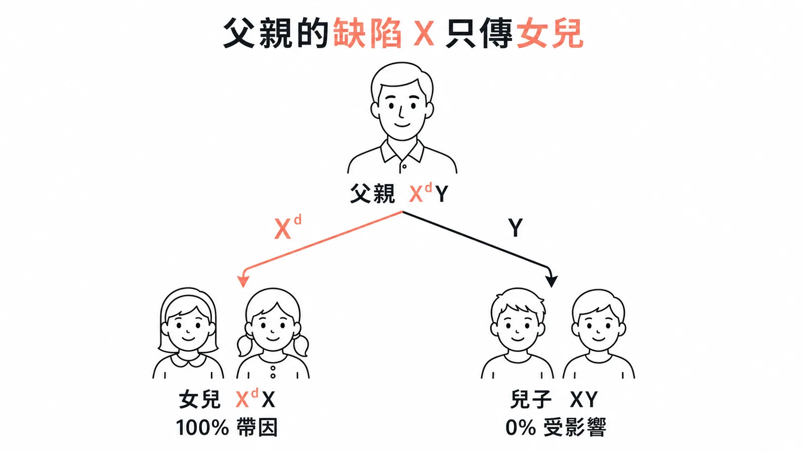 Fabry disease X 性聯遺傳:父親的缺陷 X 只傳女兒(100% 帶因),兒子不受影響