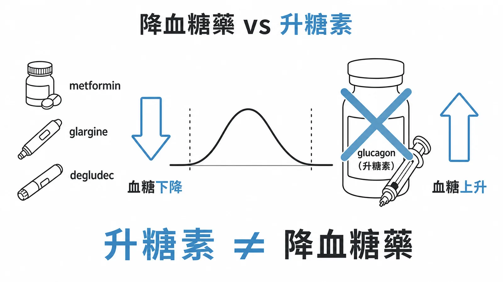 降血糖藥(metformin、glargine、degludec)與升糖素(glucagon)的作用方向對比
