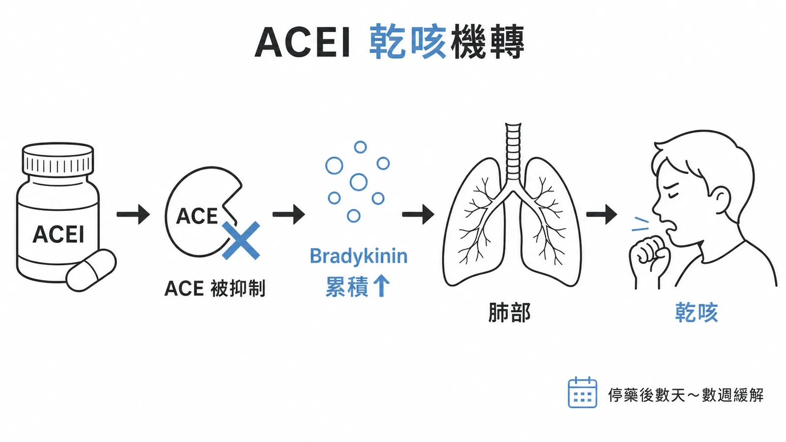 ACEI乾咳機轉：ACE被抑制→Bradykinin累積→肺部刺激咳嗽反射→乾咳，停藥後緩解