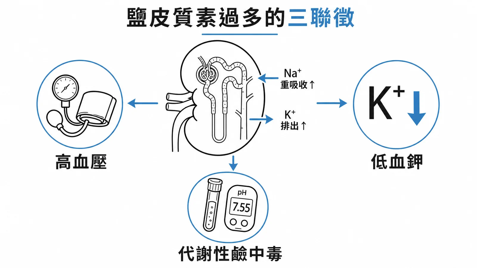 鹽皮質素過多三聯徵：腎臟 Na⁺ 重吸收增加與 K⁺ 排出增加，導致高血壓、低血鉀、代謝性鹼中毒