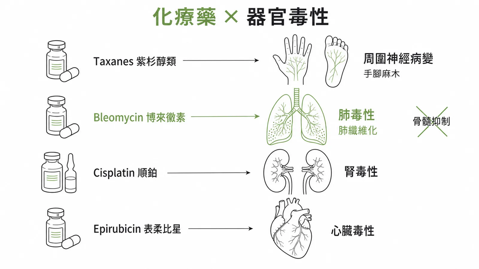 化療藥物與器官特異性毒性對應圖
