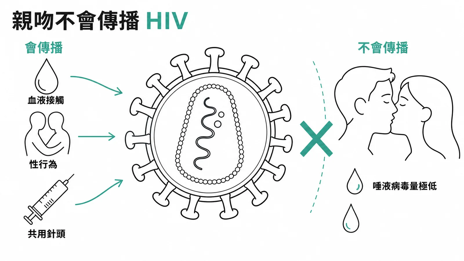 HIV傳播途徑：血液與性行為可傳播，唾液親吻不傳播